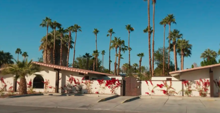 Desert Willow Wellness