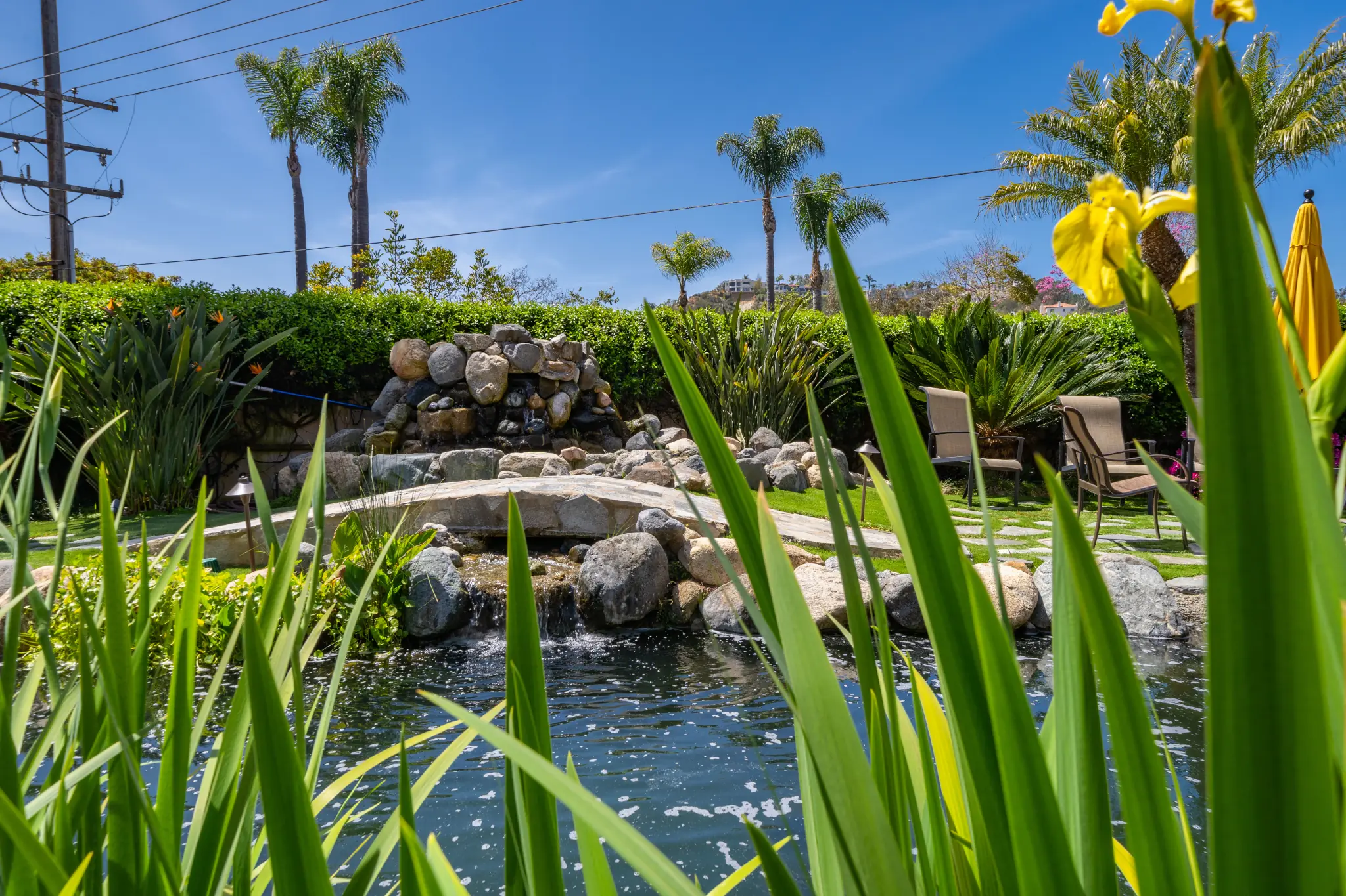 Garden with a rock waterfall, pond, palm trees and lawn chairs under a blue sky