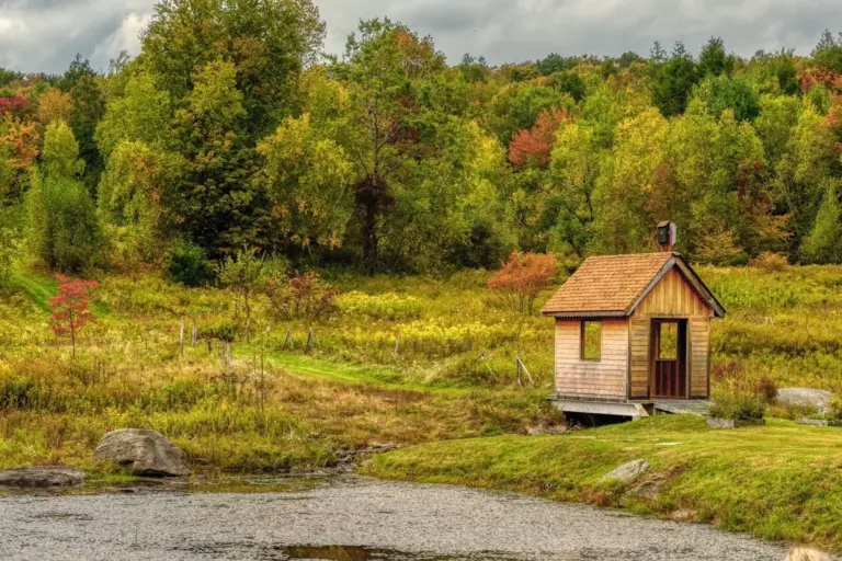 Small wooden cabin beside a pond in autumn woods