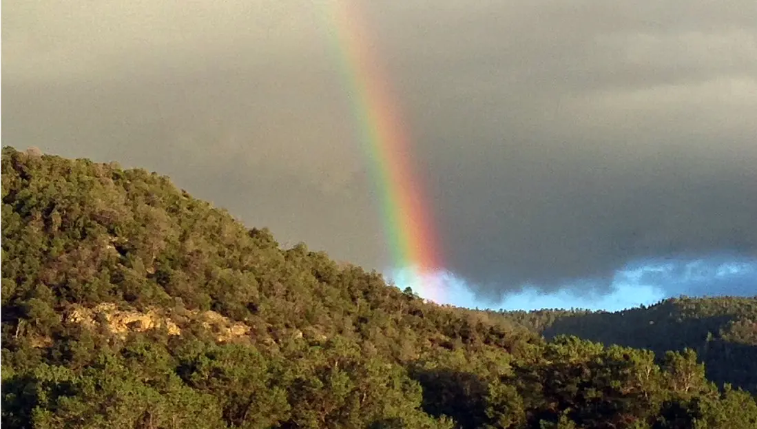 Rainbow over a pine-covered hillside under a dark, cloudy sky