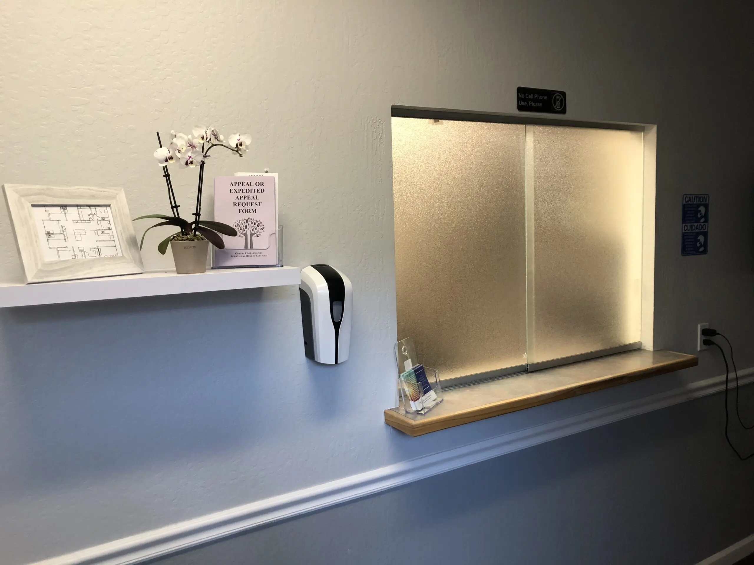 Interior hallway with a frosted glass window, a potted orchid and framed floor plan on a wall shelf