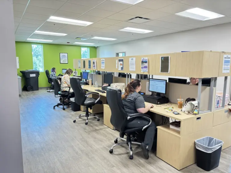 Open office with staff workstations and a bright green accent wall