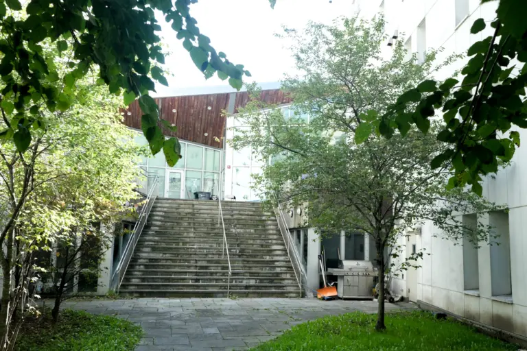 Courtyard with a wide concrete staircase leading up to a glass-fronted building entrance