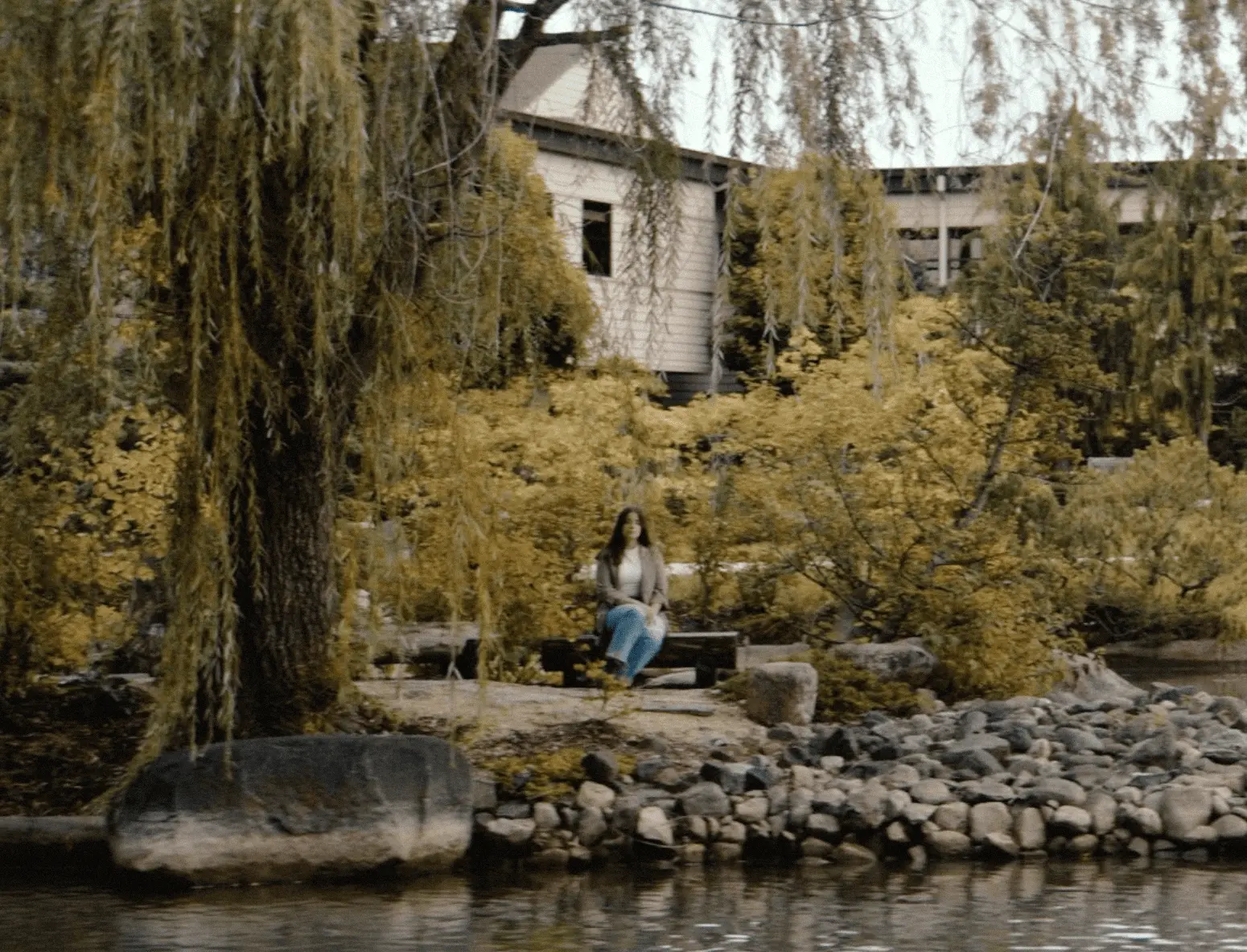 Willow trees and autumn shrubs along a rocky pond in front of a light-colored building