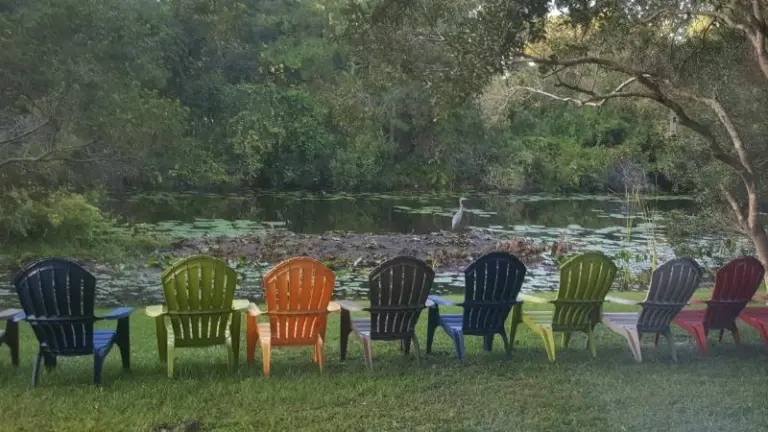 Colorful plastic chairs on grass facing a pond with lily pads and a wading heron under trees