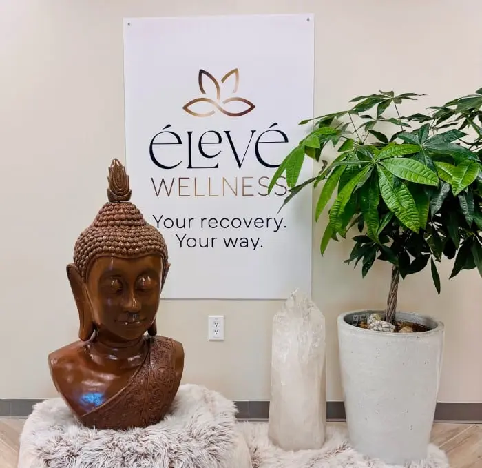 Élevé Wellness